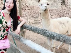 -清迈夜间动物园