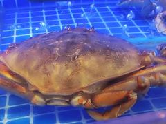 -鸽子侯·家宴·平价海鲜(绿地店)