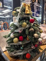 -G-STEPS舞蹈工作室