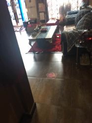 -归真美学颜究中心