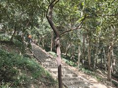 -上海佘山国家森林公园天马山园