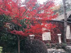 -天目湖涵田半山温泉