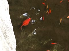 -鄂尔多斯野生动物园