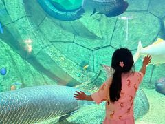 -亚特兰蒂斯•OSSIANO奥西亚诺海底餐厅