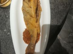 -悦百味·品质川菜(橄榄郡店)