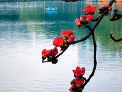 -东山湖公园