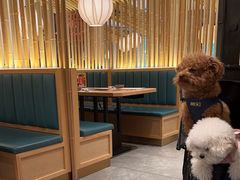 -温野菜涮涮锅(大悦城店)