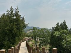 -白水寺森林公园