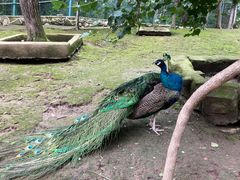 -哈尔滨北方森林动物园