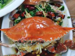 梭子蟹-阿杰臻选海鲜饭店(普陀山店)