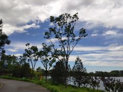 -东郊湿地公园