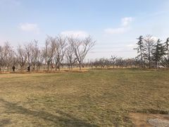-东北特色烧烤(赣榆店)