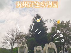 -贵州森林野生动物园