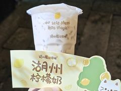 -猫的魔法密林(衣裳街店)