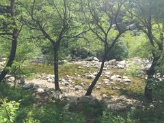 -石砭峪水库