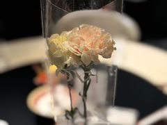 -梅花境(万科店)