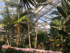 -国家植物园南园