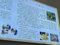 -文昌鸡饭店110号(中山路店)