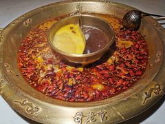 -哥老官重庆美蛙鱼头(宝山龙湖店)