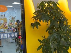 -贝乐少儿英语·全外教(滨江中心)