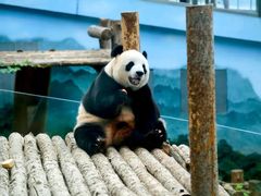 -大连森林动物园