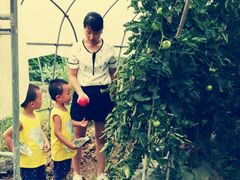 时令有机蔬菜及野菜-武汉世外桃源农庄