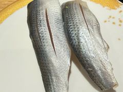 -合点寿司(金虹桥商场店)