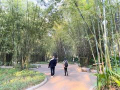 -晓港公园