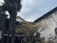 -何园