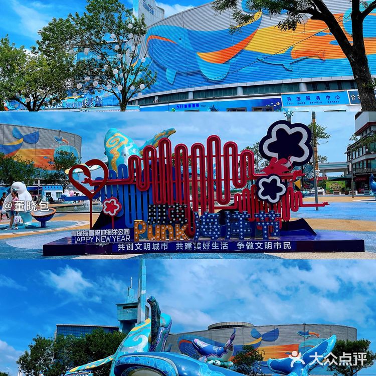 来青岛和海洋动物亲密接触|海昌极地海洋公园更好玩