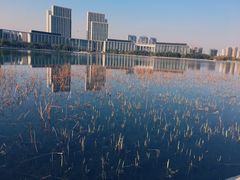 -尚贤河湿地