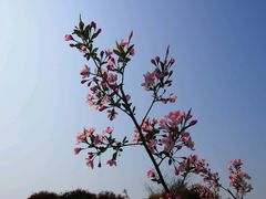 -梁鸿国家湿地公园