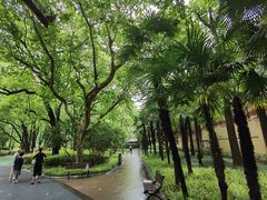 -徐家汇源景区-衡山公园