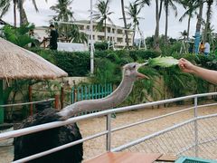 -三亚亚龙湾天域度假酒店