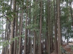 -东湖落雁景区