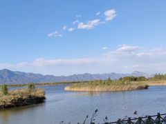 -野鸭湖国家湿地公园