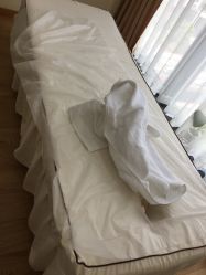 -颜和骨正·明哲式骨相美学整骨