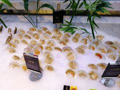 -川骄海鲜自助(河东店)