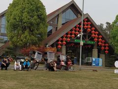 -铁山坪森林公园