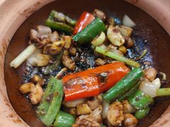 -天宝食坊·啫啫煲大排档(西华路店)