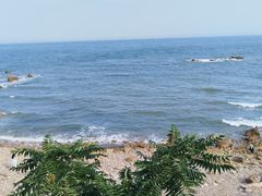-燕儿岛山公园
