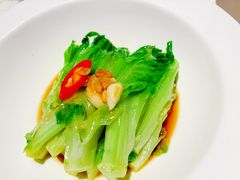 豉油王蔥油淋生菜-黛瓦宴花园餐厅·浙粤融合菜&果木烤鸭
