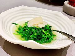 -皇朝会.经典传统粤菜(外滩店)
