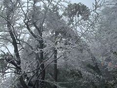 -金子山原生态旅游风景区