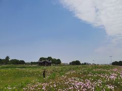 -苏州湾体育公园