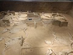 -洛阳周王城天子驾六博物馆