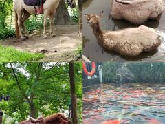 -宁波杭州湾国家湿地公园
