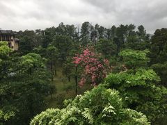 -森波拉火山温泉