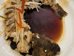 -博雅渔港·融合菜(维也纳国际大酒店)