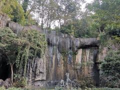 -西双版纳原始森林公园